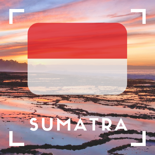 Sumatra-Fair Trade Organic